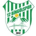 12 Bingöl Spor logo