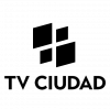 Canal 6 Nicaragua logo