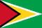 Guyana flag