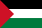 Palestine flag