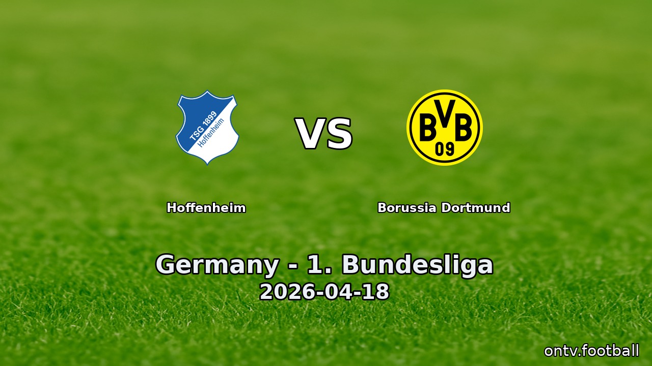 Hoffenheim vs Borussia Dortmund