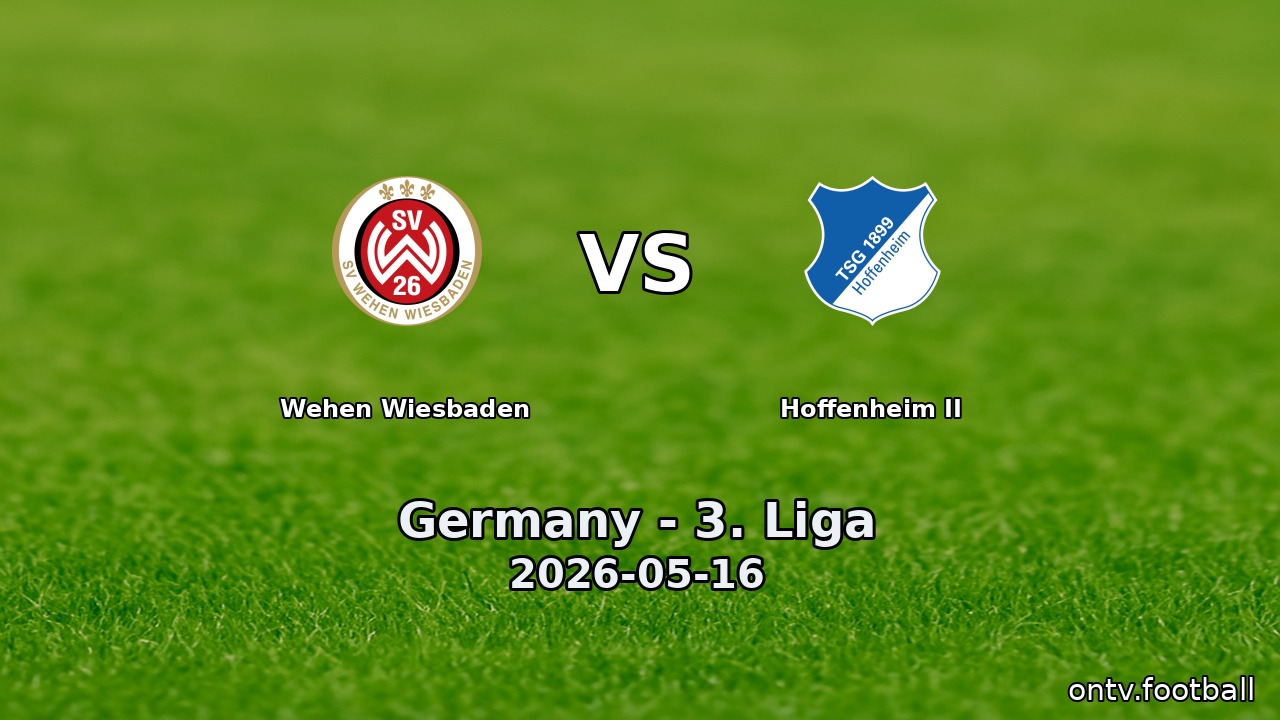 Wehen Wiesbaden vs Hoffenheim II