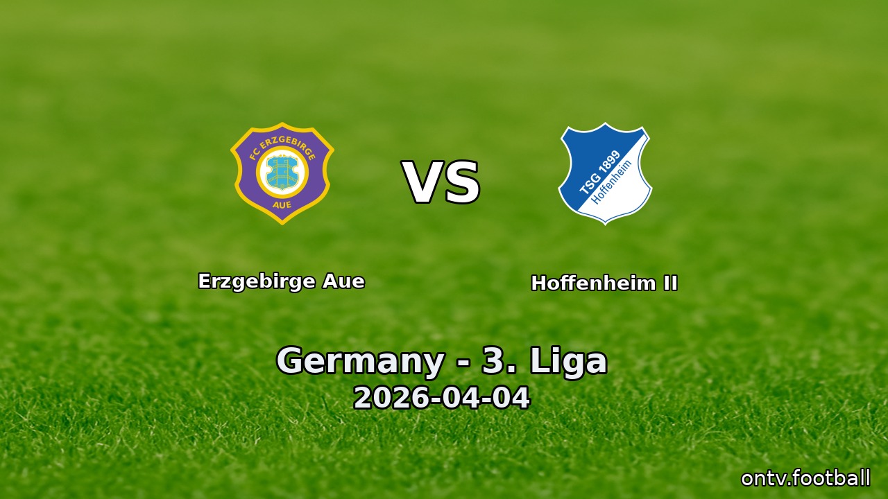 Erzgebirge Aue vs Hoffenheim II