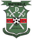 BDF XI logo
