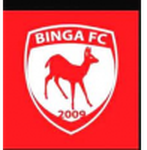 Binga logo