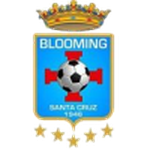 Blooming logo