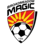 Broadmeadow Magic logo