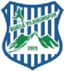 Bursa Yıldırımspor logo