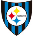 Huachipato logo