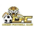 Cooma Tigers logo