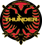 Dandenong Thunder logo