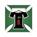 Deportes Temuco logo