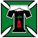 Deportes Temuco logo