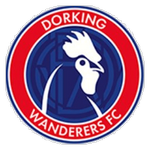 Dorking Wanderers logo