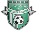 Dukagjini logo