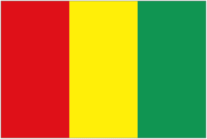 Guinea logo