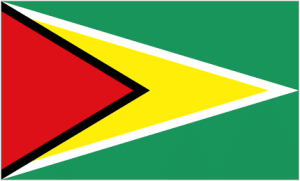 Guyana logo