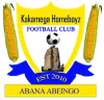 Homeboyz logo