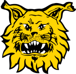 Ilves logo