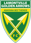 Golden Arrows logo Golden Arrows logo