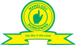 Mamelodi Sundowns logo Mamelodi Sundowns logo
