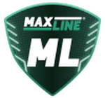 ML Rogachev logo