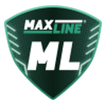 ML Rogachev logo