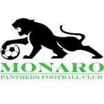 Monaro Panthers logo