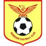Nam Dinh logo