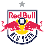 New York RB II logo