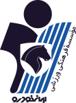 Paykan logo