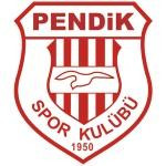 Pendikspor logo