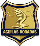 Rionegro Águilas logo Rionegro Águilas logo