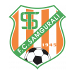 Samgurali logo Samgurali logo
