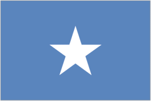 Somalia logo