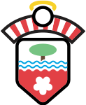 Southampton logo