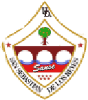 SS Reyes logo