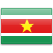 Suriname logo