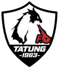 Tatung logo