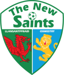 The New Saints logo