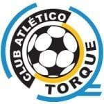 Torque logo