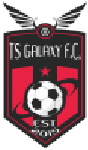 TS Galaxy logo