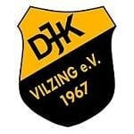 Vilzing logo