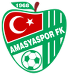 Yeni Amasyaspor logo